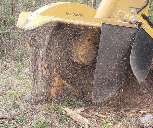 Millers Tree Service Stump Grinding