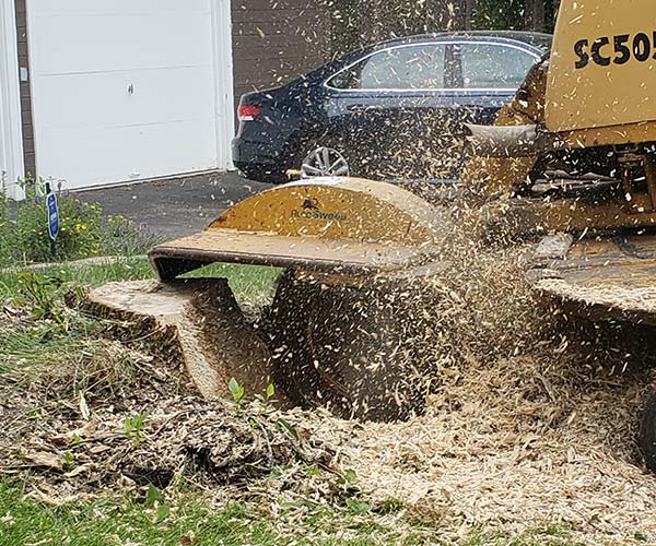 Miller's-Tree-Service-Stump-Grinding Miller's-Tree-Service-Stump-Grinding