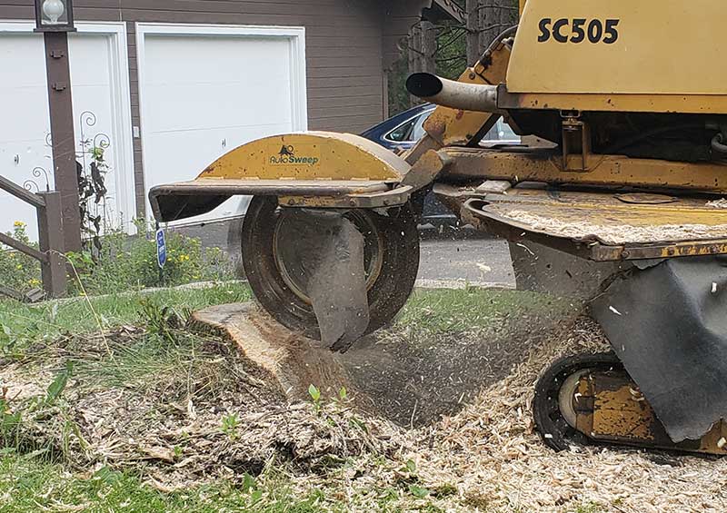 Miller's-Tree-Service-stump-grinding